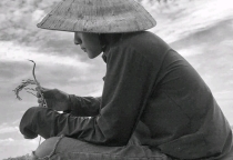 Giải mã "độ hot" của Lê Tuấn Khang